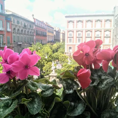 Neapolis Bellini Nocleg ze śniadaniem 3*